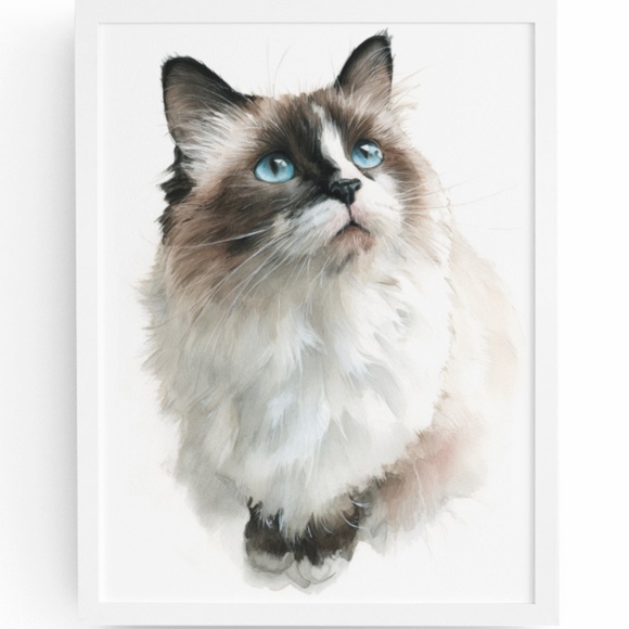 Watercolor Ragdoll Cat Wall Art Print Unframed - Picture 1 of 6
